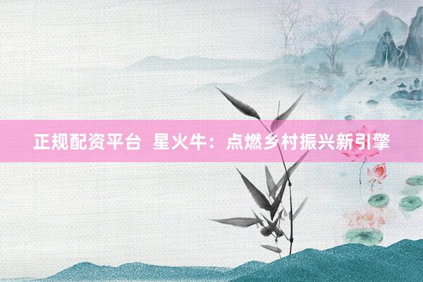 正规配资平台  星火牛：点燃乡村振兴新引擎