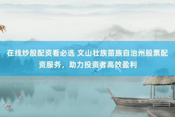 在线炒股配资看必选 文山壮族苗族自治州股票配资服务，助力投资者高效盈利