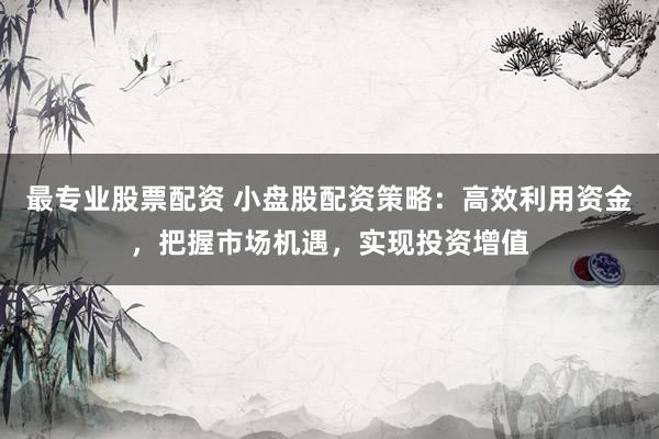 最专业股票配资 小盘股配资策略：高效利用资金，把握市场机遇，实现投资增值