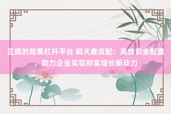 正规的股票杠杆平台 瞬天鑫资配：高效资金配置，助力企业实现财富增长新动力