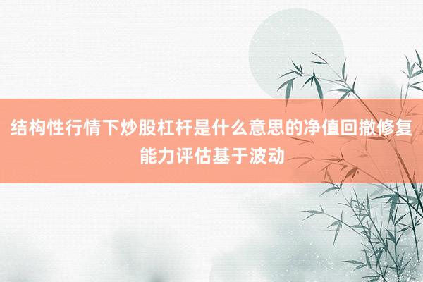 结构性行情下炒股杠杆是什么意思的净值回撤修复能力评估基于波动