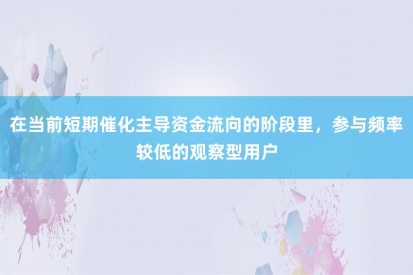 在当前短期催化主导资金流向的阶段里，参与频率较低的观察型用户