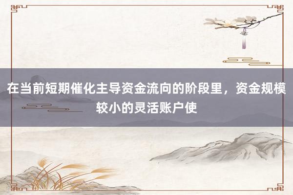 在当前短期催化主导资金流向的阶段里，资金规模较小的灵活账户使