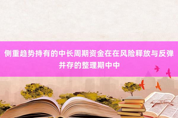 侧重趋势持有的中长周期资金在在风险释放与反弹并存的整理期中中
