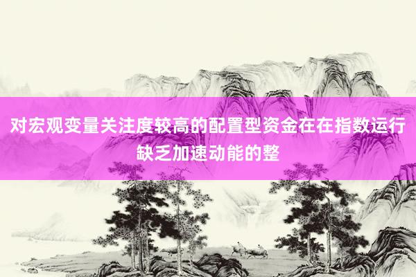 对宏观变量关注度较高的配置型资金在在指数运行缺乏加速动能的整